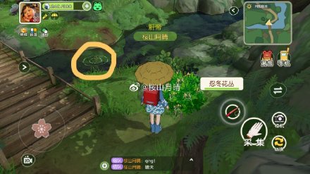 小森生活鲢鱼哪里概率高